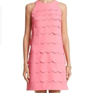 White House black market pink scalloped dress